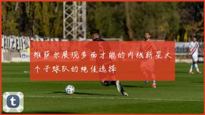 维萨尔展现多面才能的内线新星大个子球队的绝佳选择