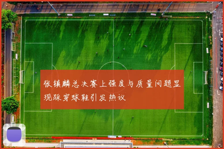 张镇麟总决赛上强度与质量问题显现踩穿球鞋引发热议