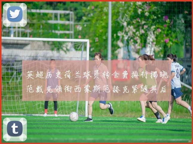 英超历史荷兰球员转会费排行揭晓范戴克领衔西蒙斯范赫克紧随其后