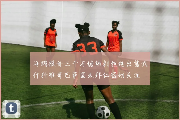 海鸥报价三千万镑热刺拒绝出售武什科维奇巴萨国米拜仁密切关注